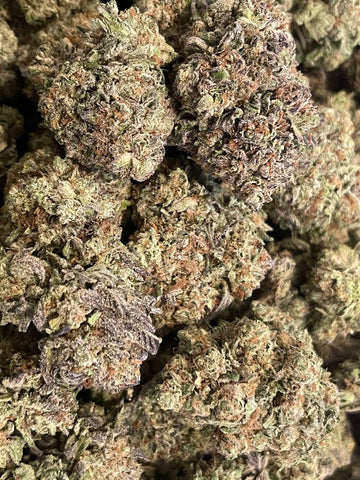 King Gelato