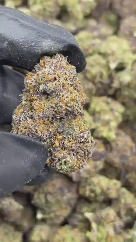 Lava Burst